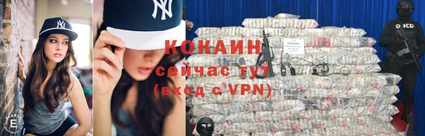 стаф Россошь
