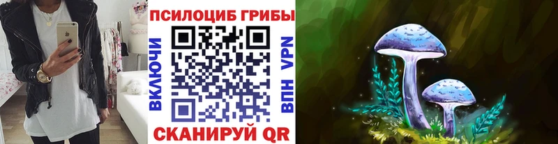 Псилоцибиновые грибы Magic Shrooms где купить OMG как войти Алзамай