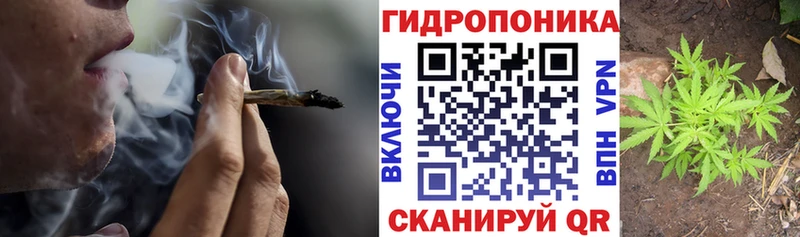 купить  цена  Алзамай  Бошки Шишки White Widow 